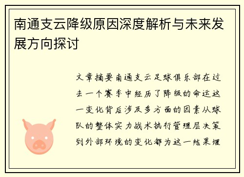 南通支云降级原因深度解析与未来发展方向探讨