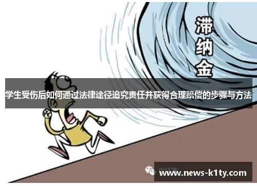 学生受伤后如何通过法律途径追究责任并获得合理赔偿的步骤与方法
