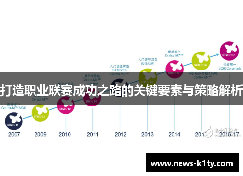 打造职业联赛成功之路的关键要素与策略解析