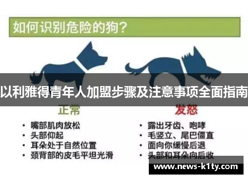 以利雅得青年人加盟步骤及注意事项全面指南