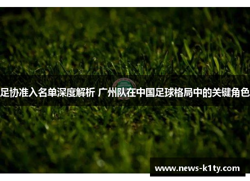 足协准入名单深度解析 广州队在中国足球格局中的关键角色